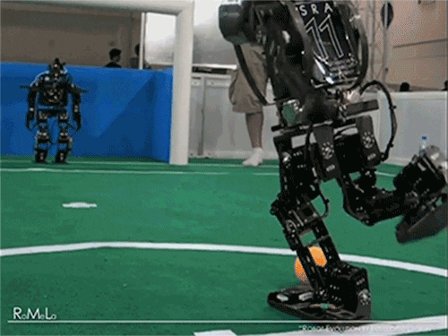 roboplay